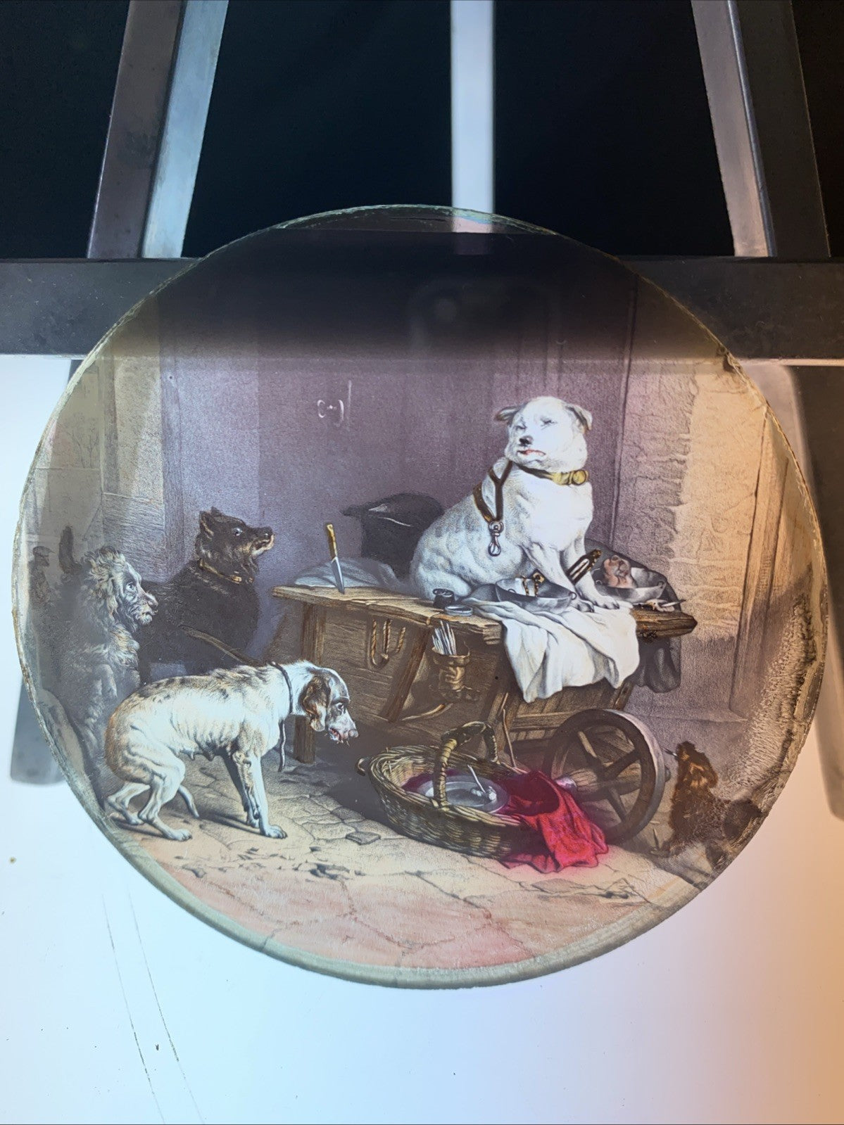 Magic Lantern Victorian Glass Round Handpainted Slide Meeting of Dogs (1143)