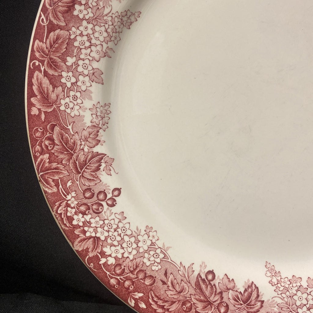 J&G Meakin england Ironstone Vitresol Plate Reg D. 391413 10" - (1721)