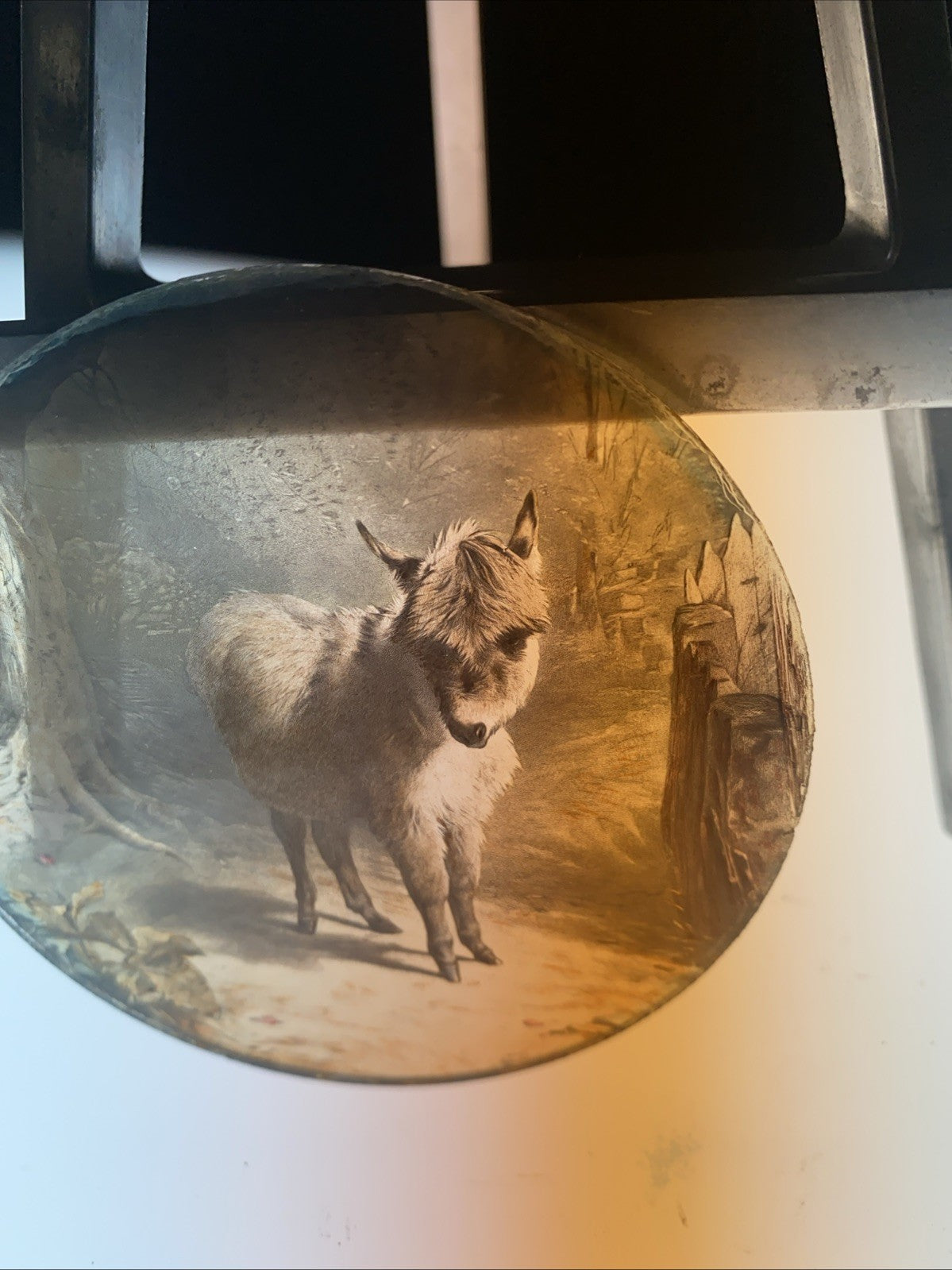 Magic Lantern Victorian Glass Round Handpainted Slide Donkey in the Woods (1125)