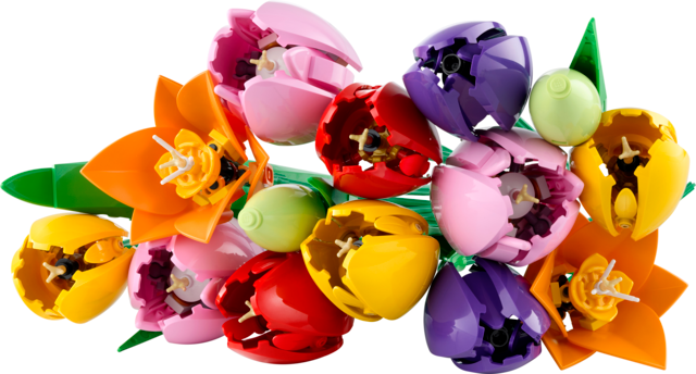 LEGO Botanicals - Tulip Bouquet - 11501