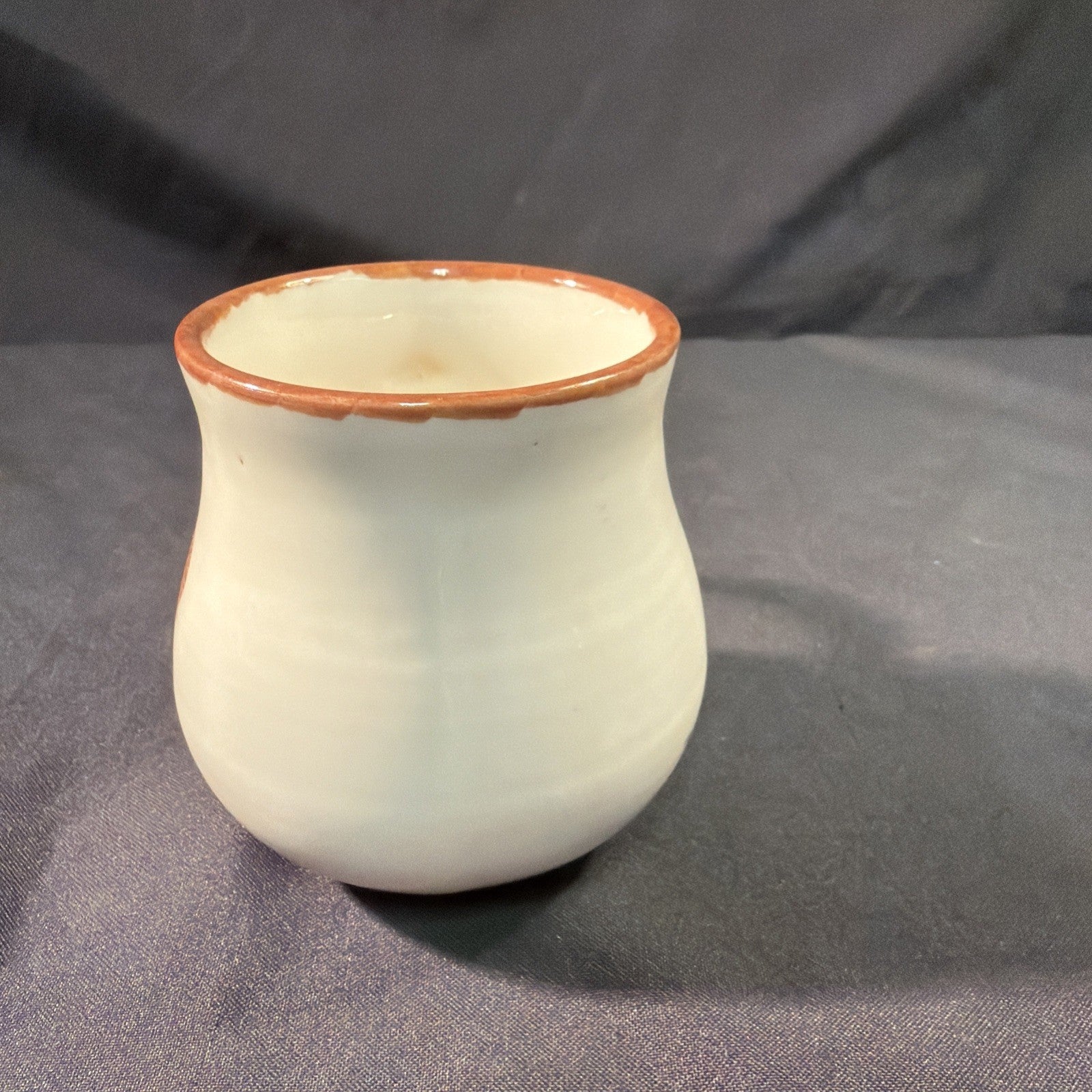Hornsea Ben Thomas Porcelain hand Made and Painted Hedgehog Mug - (2024)