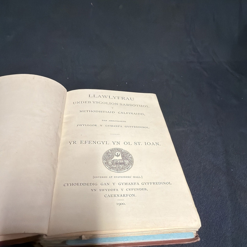 Yr efengyl Yn Ol St. Ioan, Parch. J Cynddylan Jones - Welsh Language book - (1904)