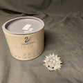 Swarovski Silver Crystal Hedgehog with silver whiskers 5cm Boxed - (1605)