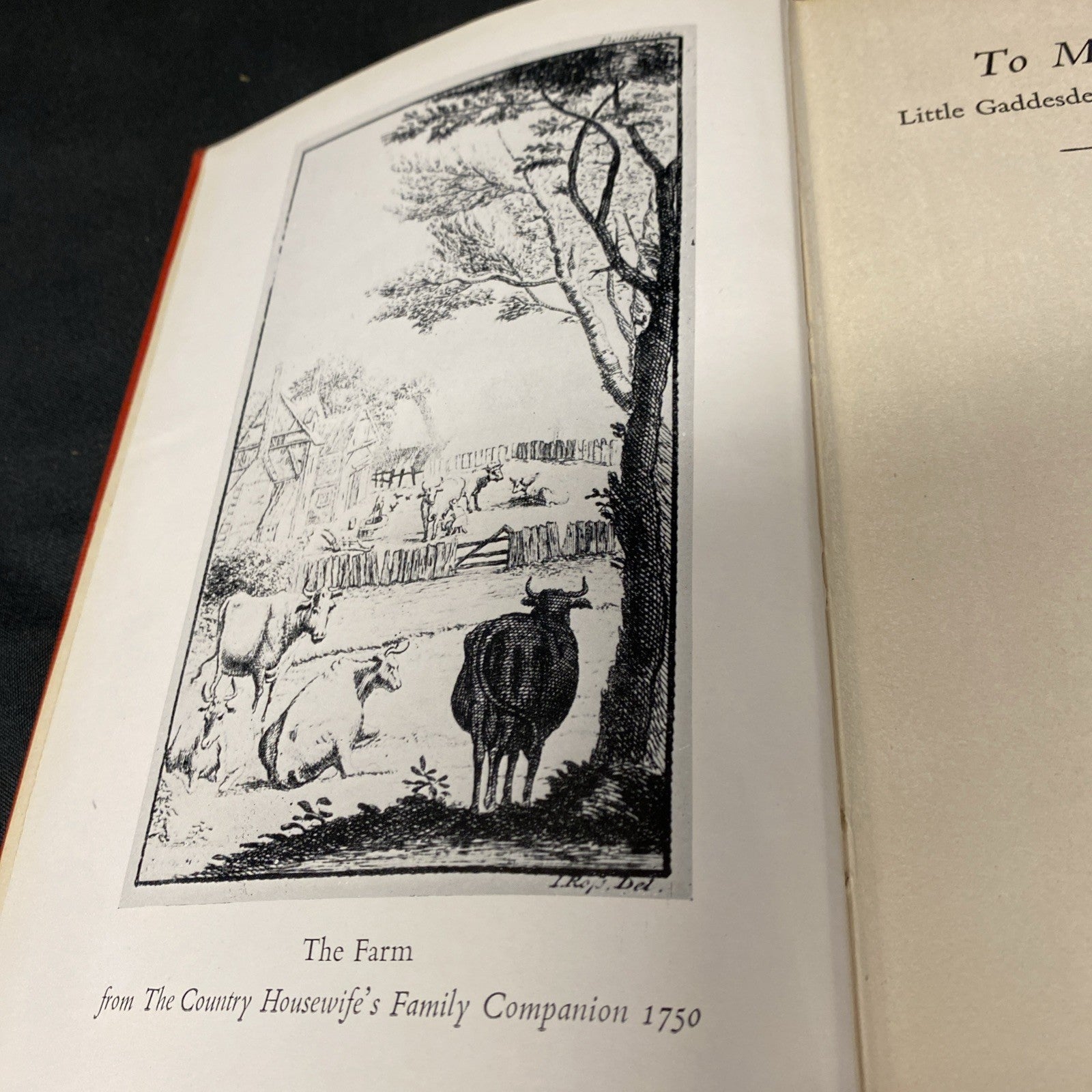 Book - To Meet Mr Ellis by Vicars Bell - (1551)