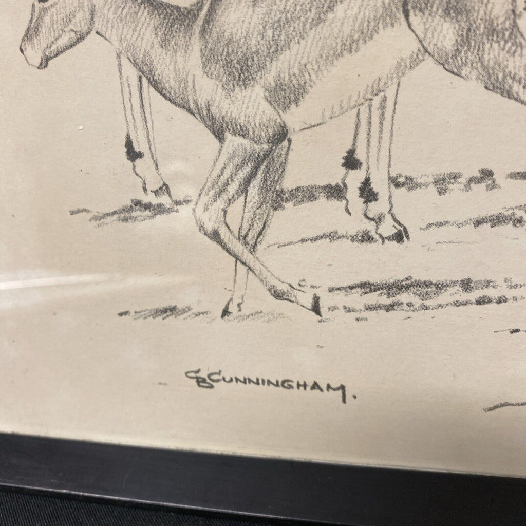 Cunningham - Antique drawing original - Gazelles - Glazed and Framed - (5337)