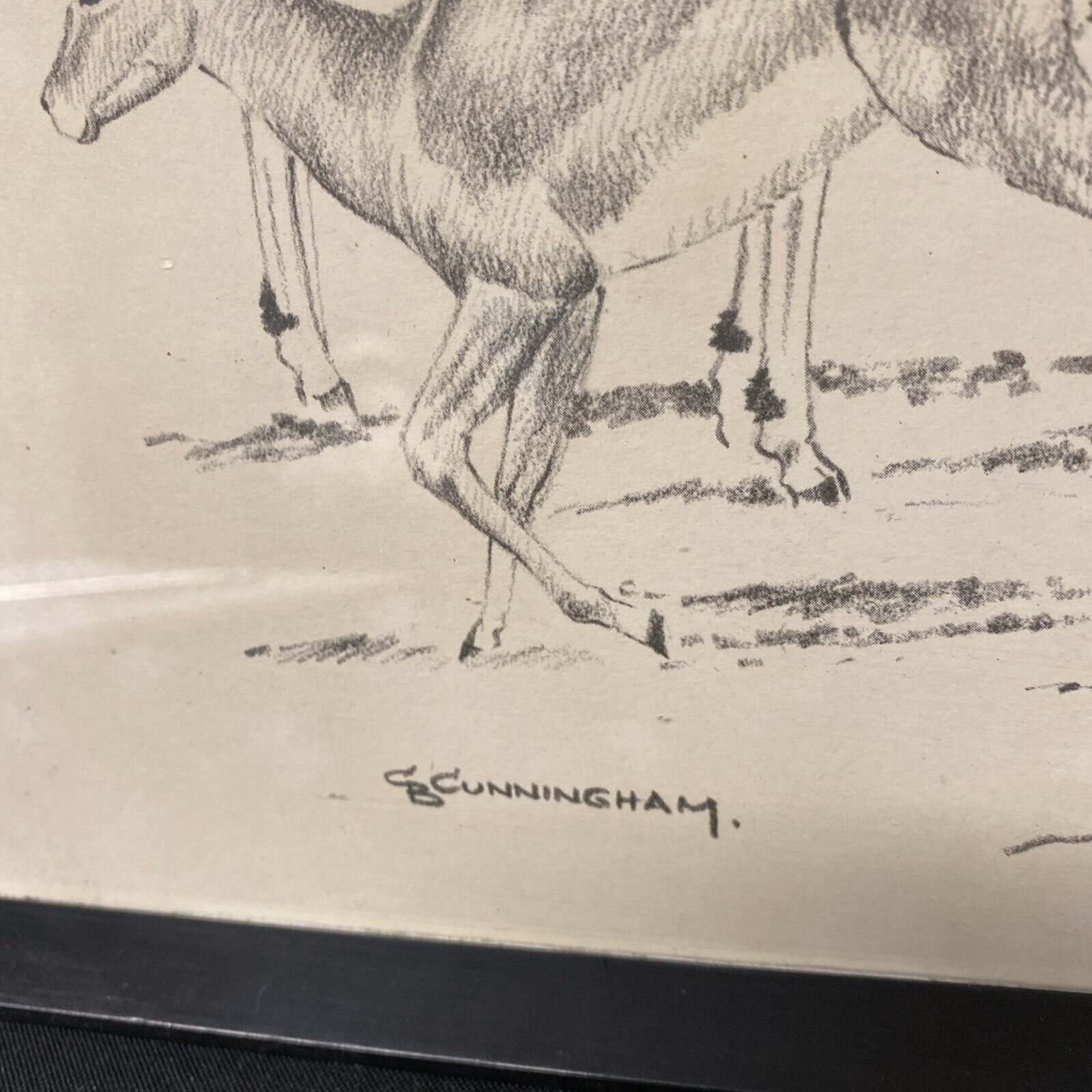 Cunningham - Antique drawing original - Gazelles - Glazed and Framed - (5337)