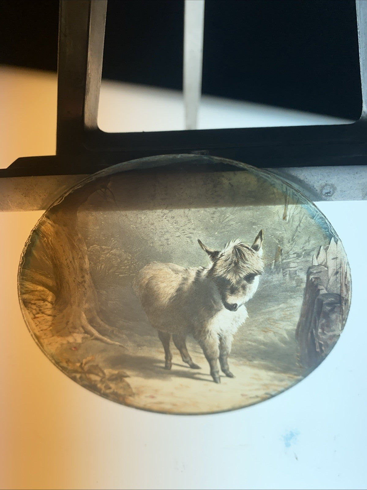 Magic Lantern Victorian Glass Round Handpainted Slide Donkey in the Woods (1125)