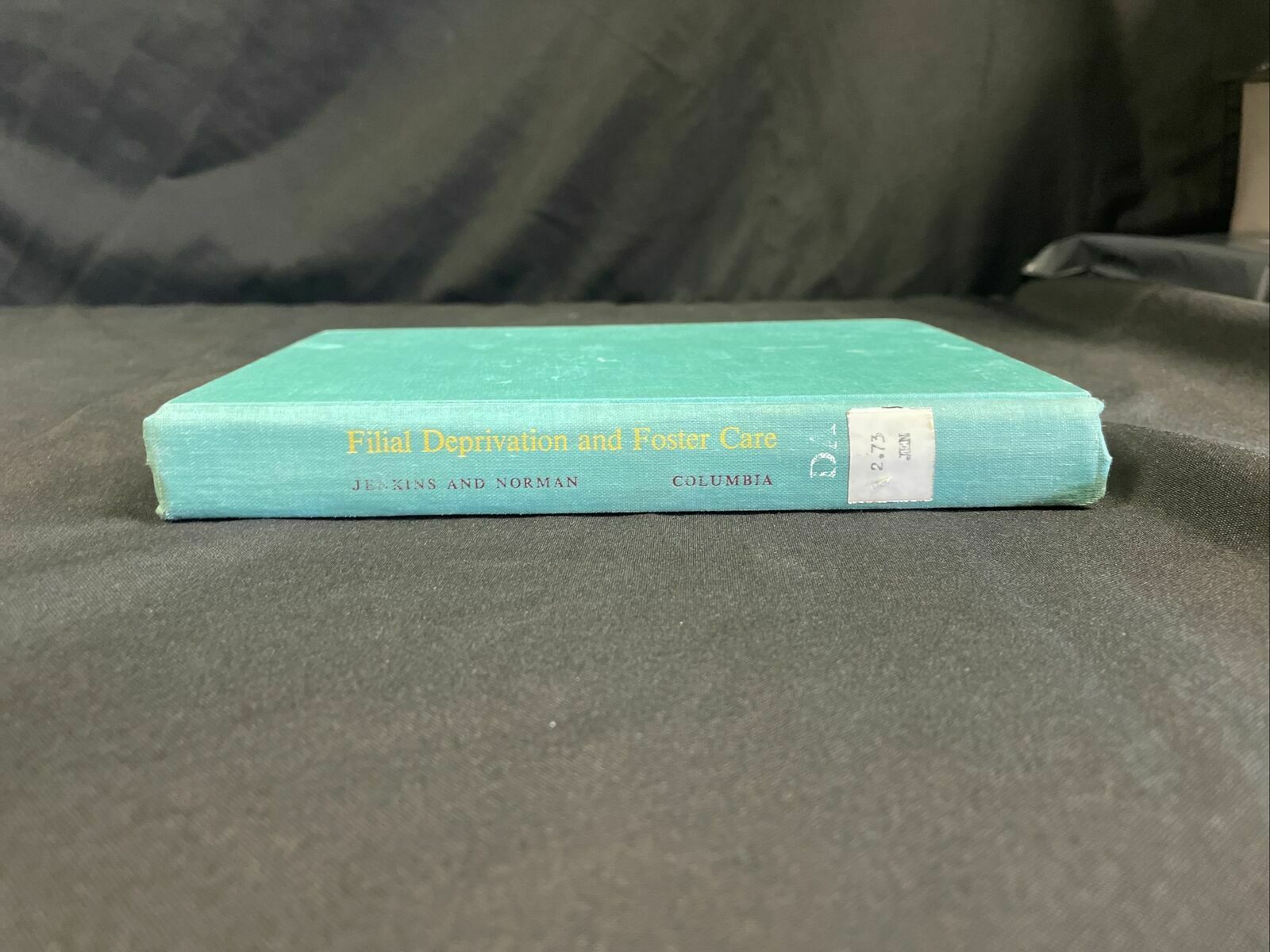 BOOK - Filial Deprication and Foster Care - Jenkins and Norman HB -(8190)