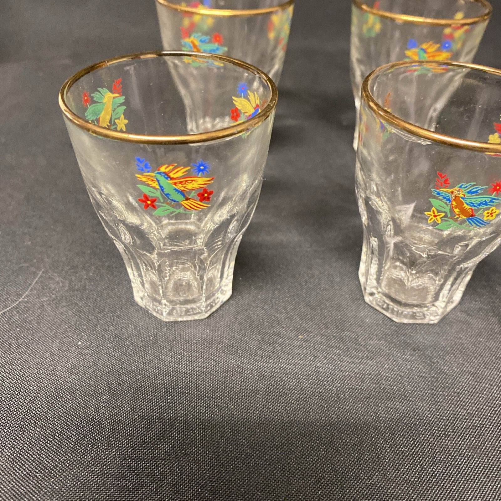 6 x Vintage 1950's Claymer Glasses Glass shot liqueur parrots design with REG mark (1482)