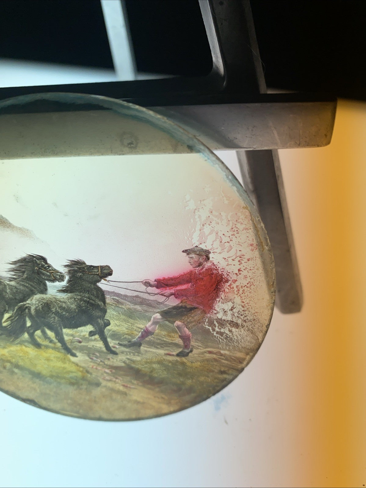 Magic Lantern Victorian Glass Round Handpainted Slide Taming Ponies (1168)