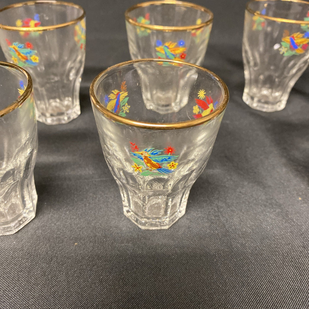 6 x Vintage 1950's Claymer Glasses Glass shot liqueur parrots design with REG mark (1482)