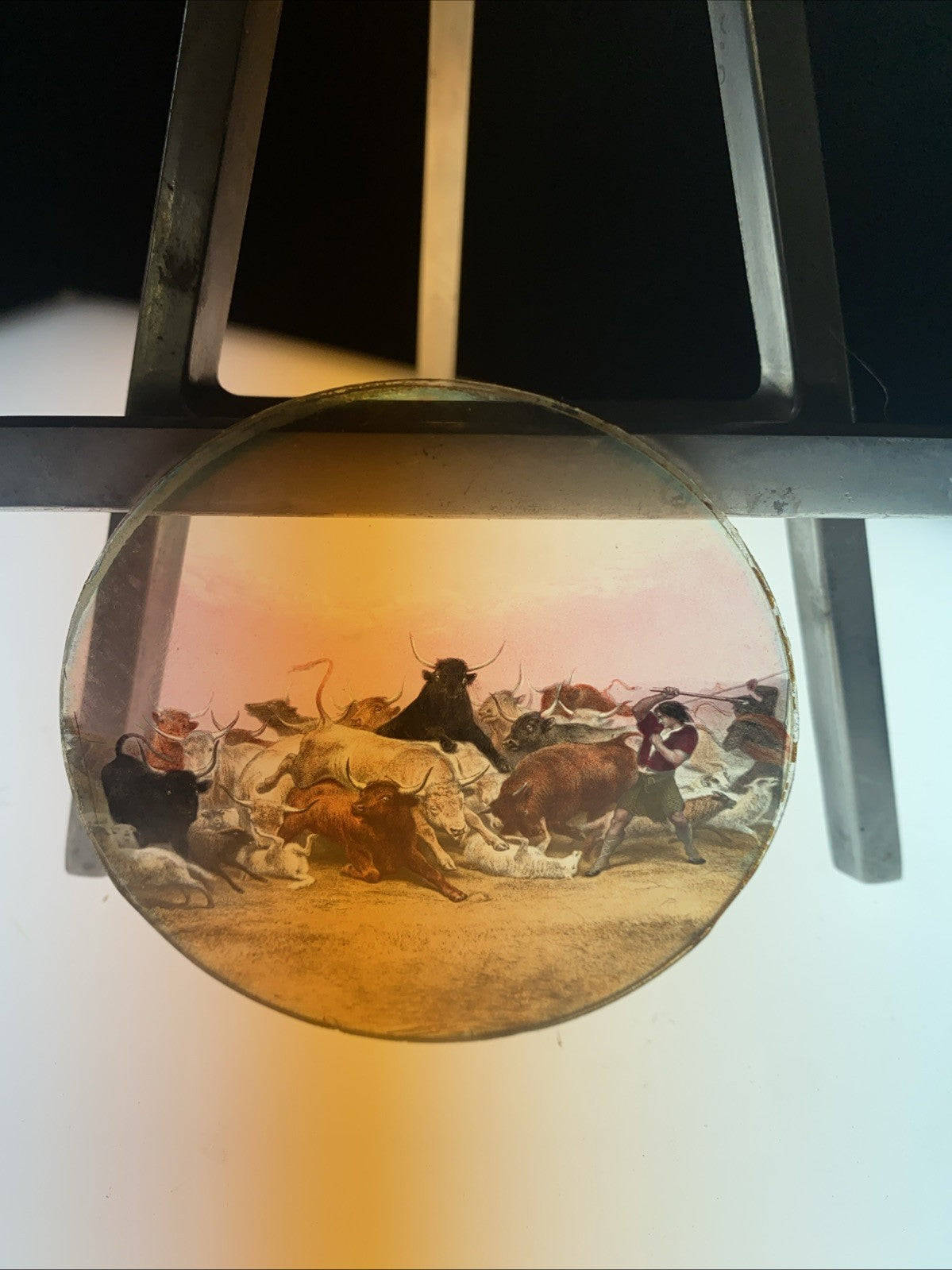Magic Lantern Victorian Glass Round Handpainted Slide A stampede (1154)