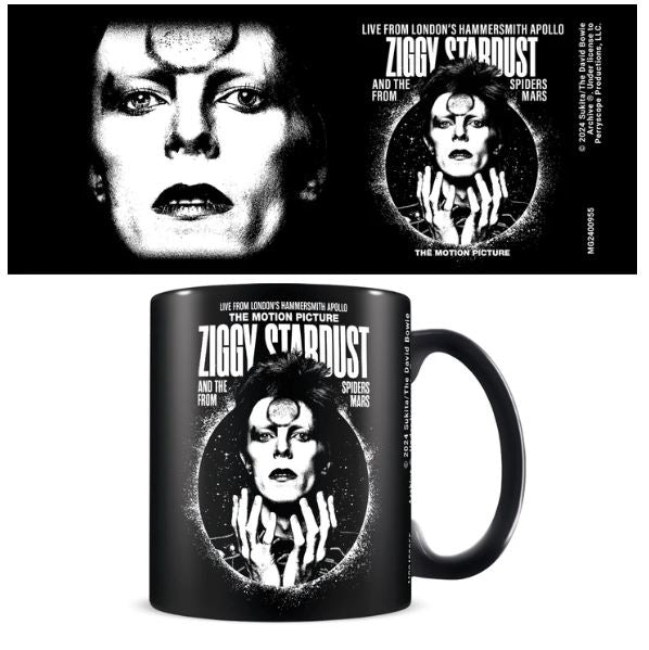 MUG Boxed Ceramic - MUSIC - David Bowie, Ziggy Stardust, Black Mug