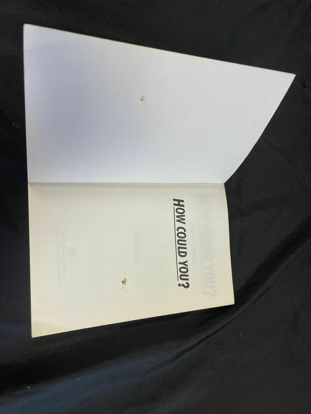 BOOK - How Could You? - Mothers without custody of their children - Edwards - (8200)