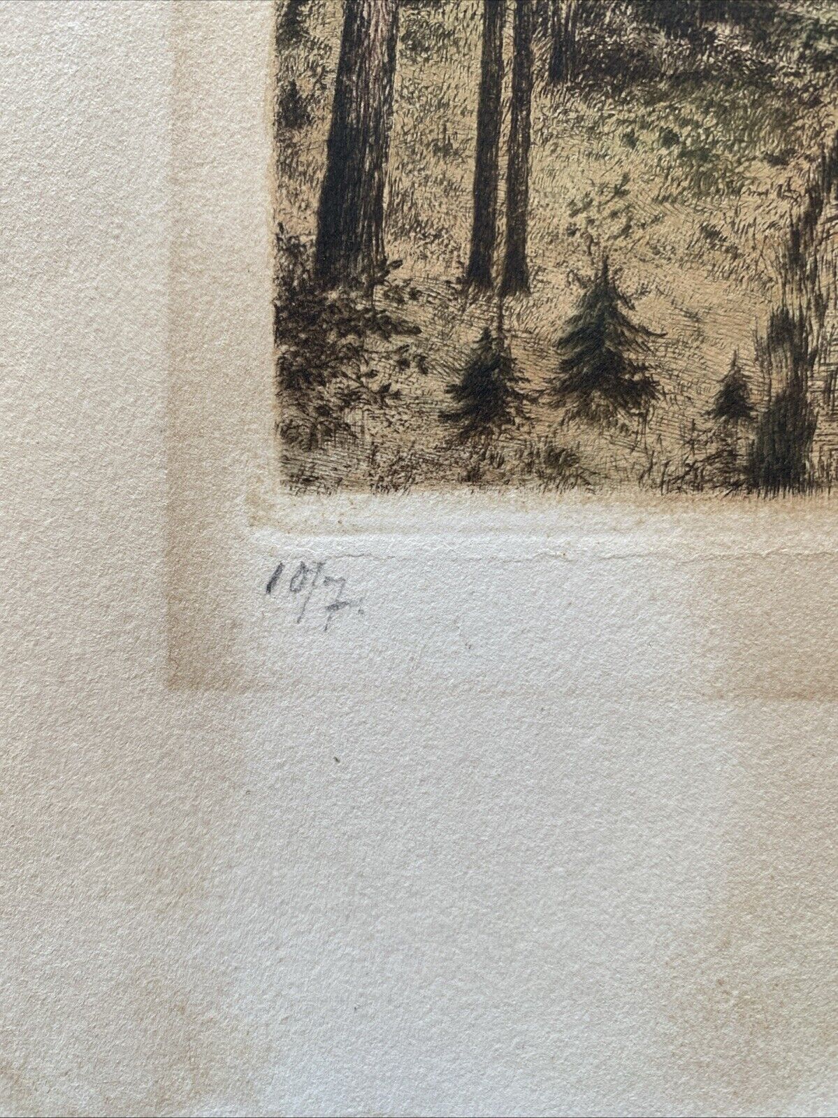 Prof. A Thalberg #7/10 Forest by a Lake Original Coloured etching - (5859)