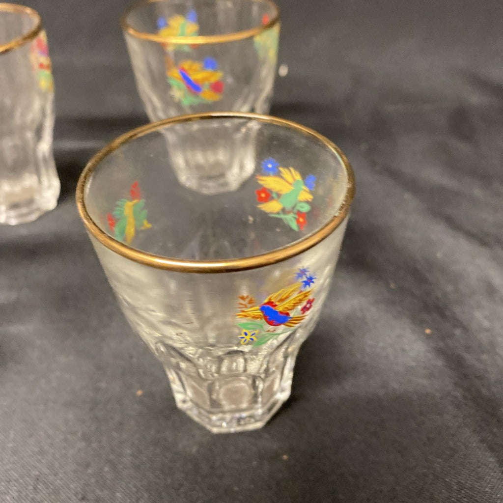 6 x Vintage 1950's Claymer Glasses Glass shot liqueur parrots design with REG mark (1482)