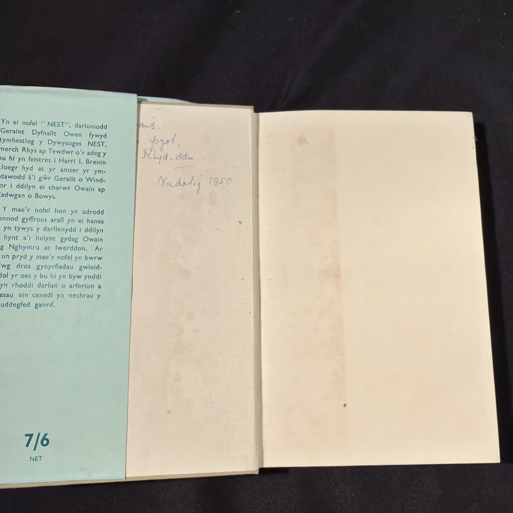 Dyddiau'r gofid, Geraint Dyfnallt Owen - Welsh Language book - (1875)
