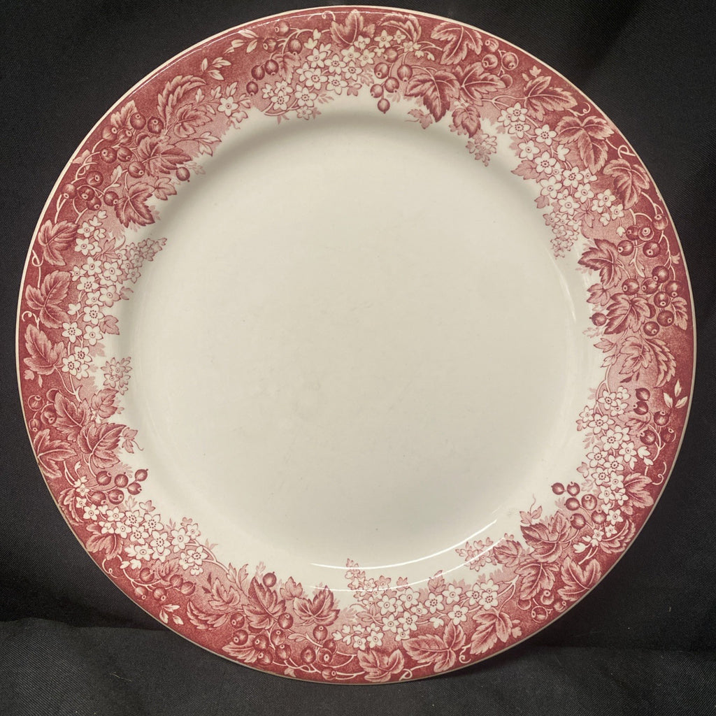 J&G Meakin england Ironstone Vitresol Plate Reg D. 391413 10" - (1721)