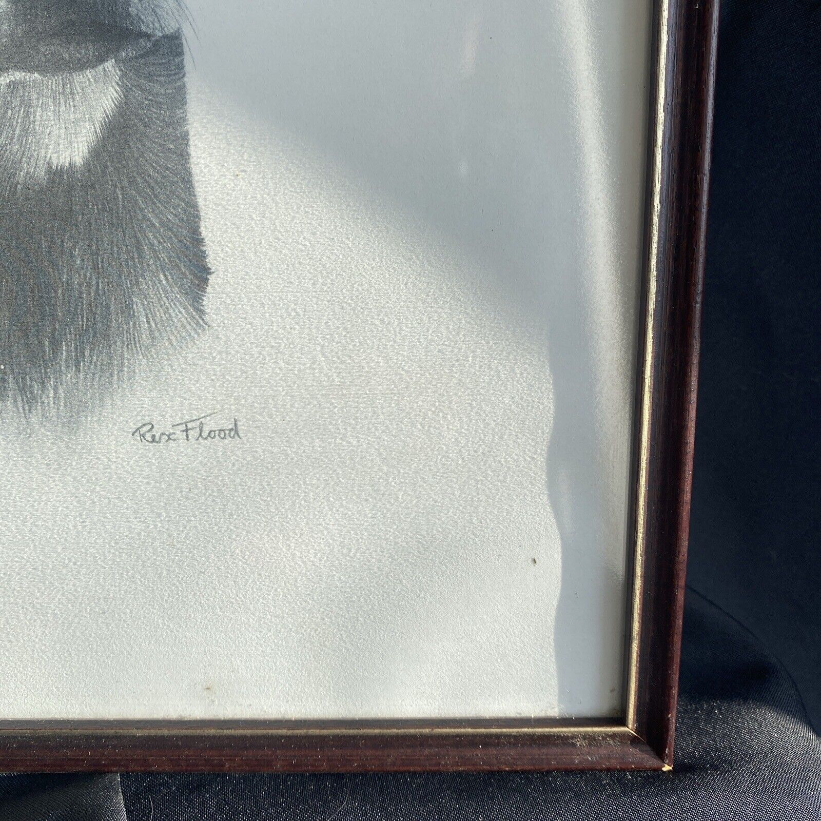 Rex Flood - Framed Glazed Pencil Print Labrador Dog 1990 - (9097)