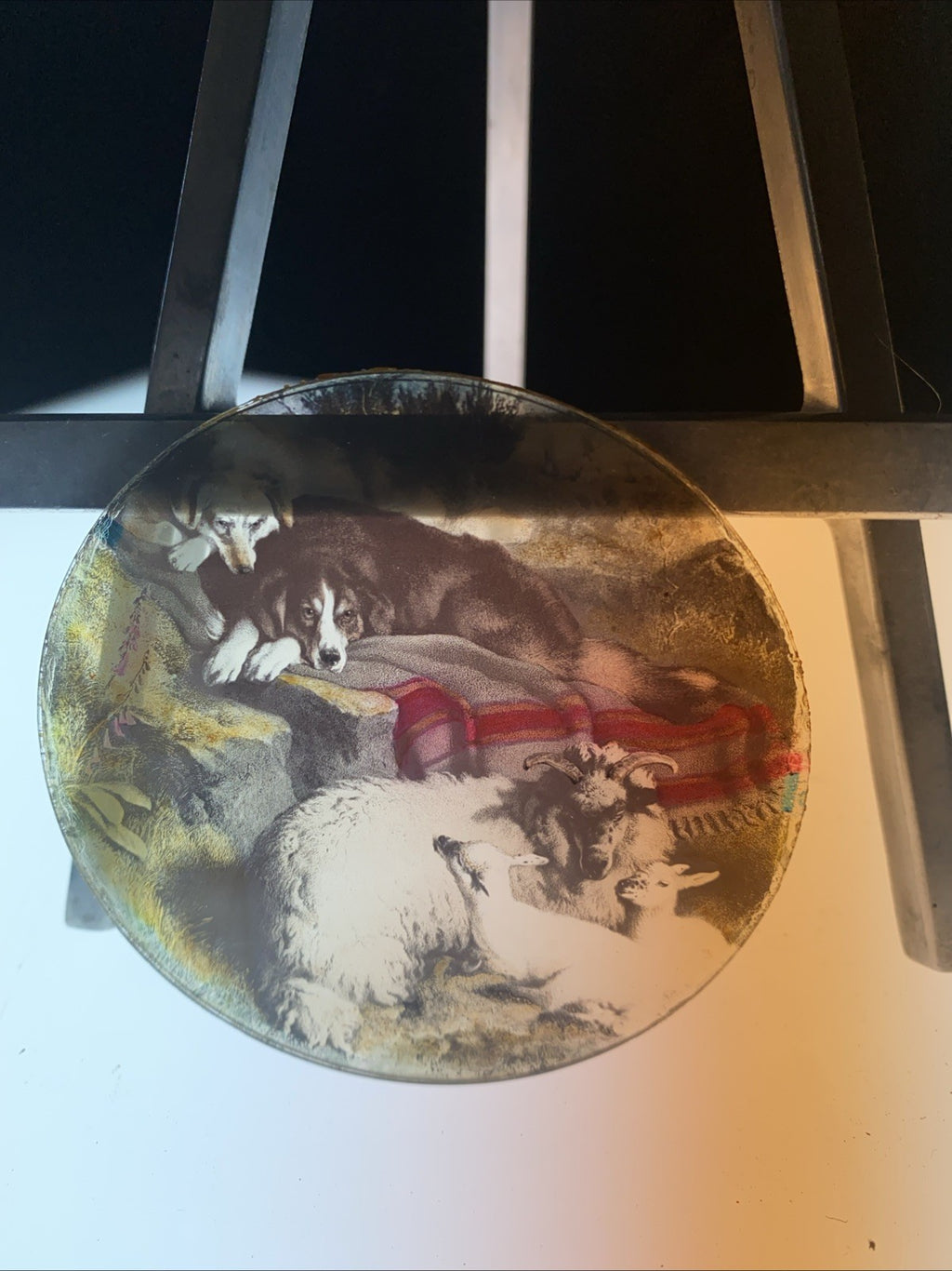 Magic Lantern Victorian Glass Round Handpainted Slide Dogs watching sheep (1172)