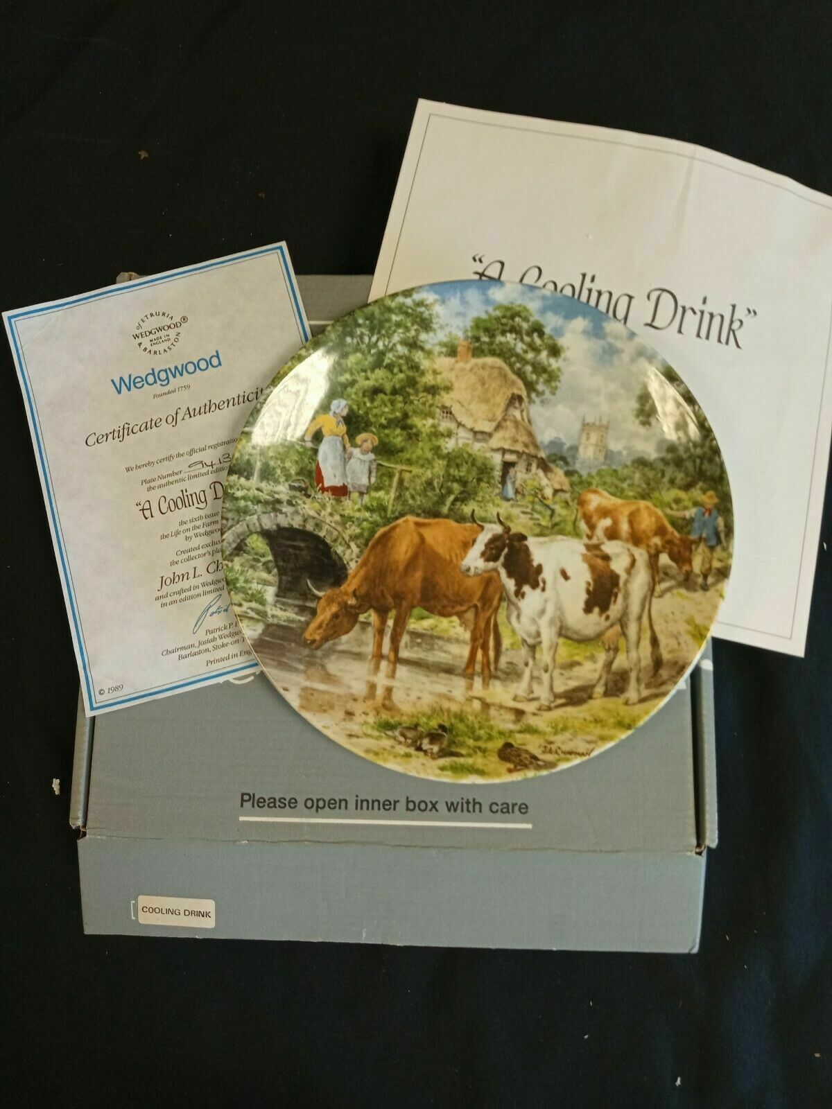 Wedgwood Queensware Collectors Boxed Plate Limited Ed. 1989 Cooling Drink (7877)