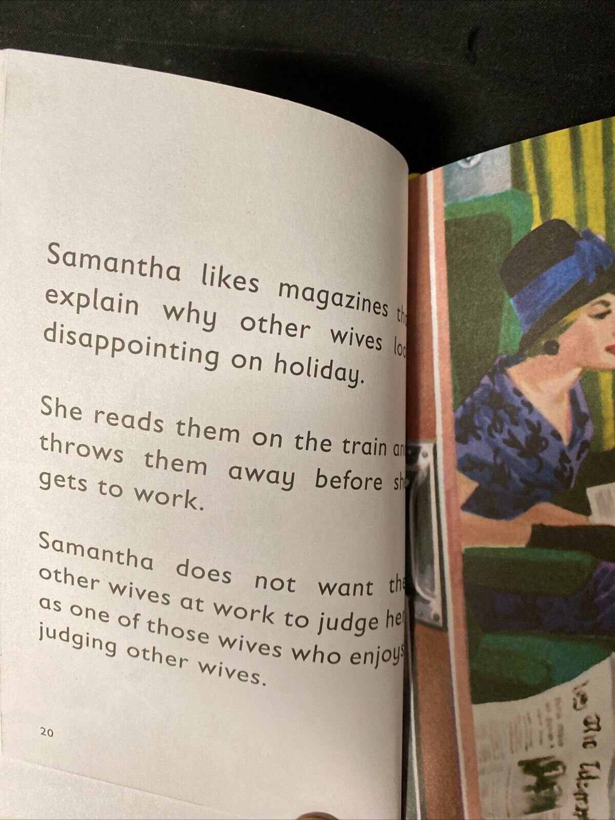 3 x The Ladybird Book - The Cat / Husband / Wife (Ladybird for Grown-Ups) (5648)