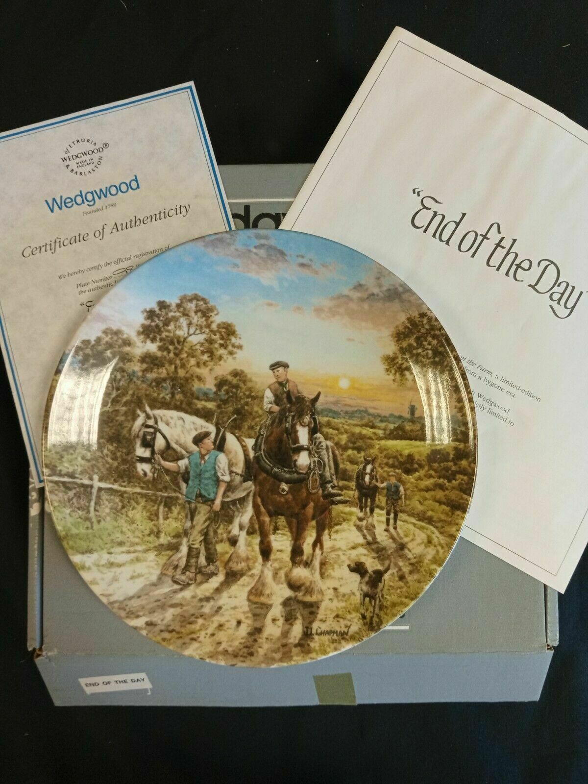 Wedgwood Queensware Collectors Boxed Plate Lim. Ed. 1989 End of The Day (7882)