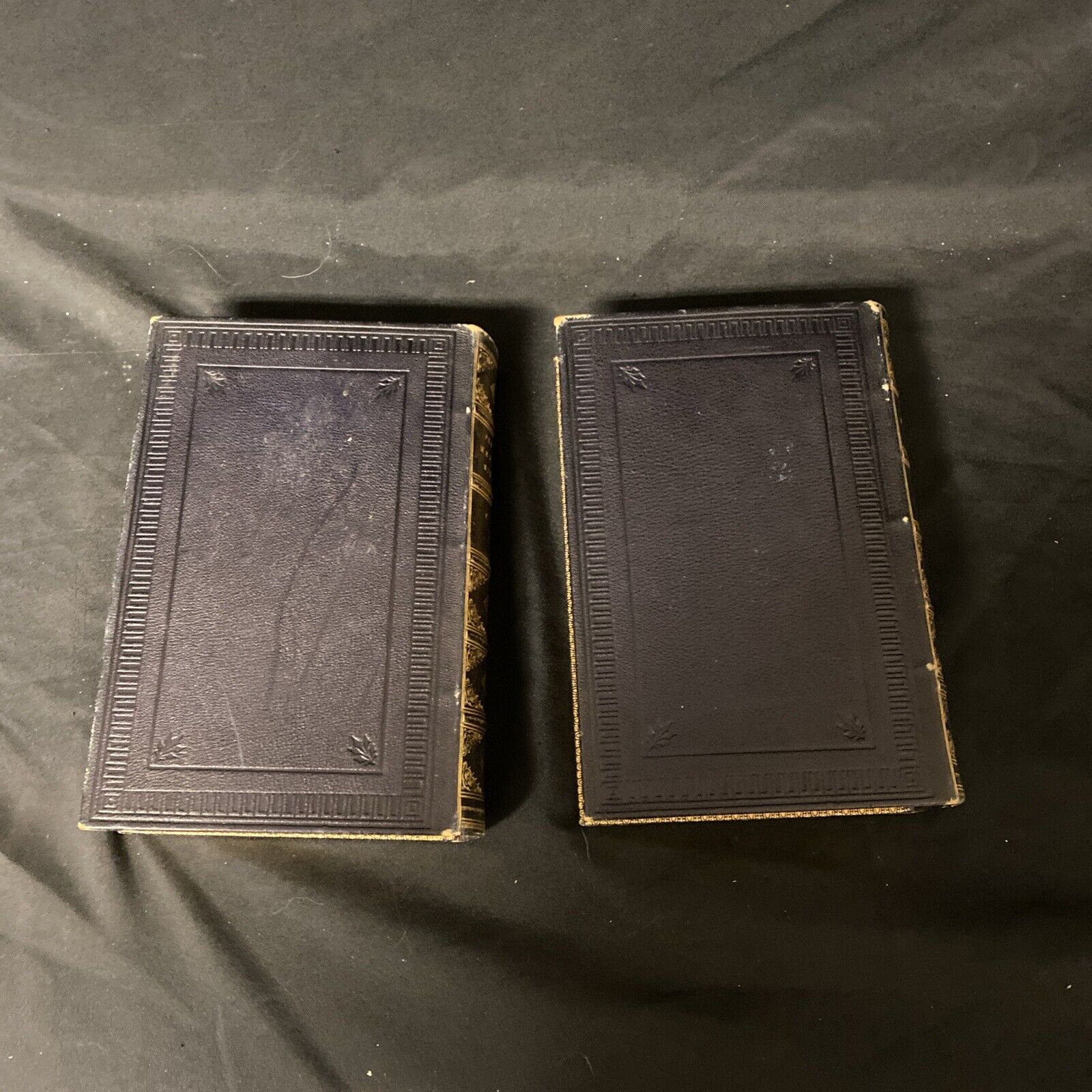 Dr Felix Niemeyer Practical Medicine and Anatomy Vol 1&2 1872 Books (5275)