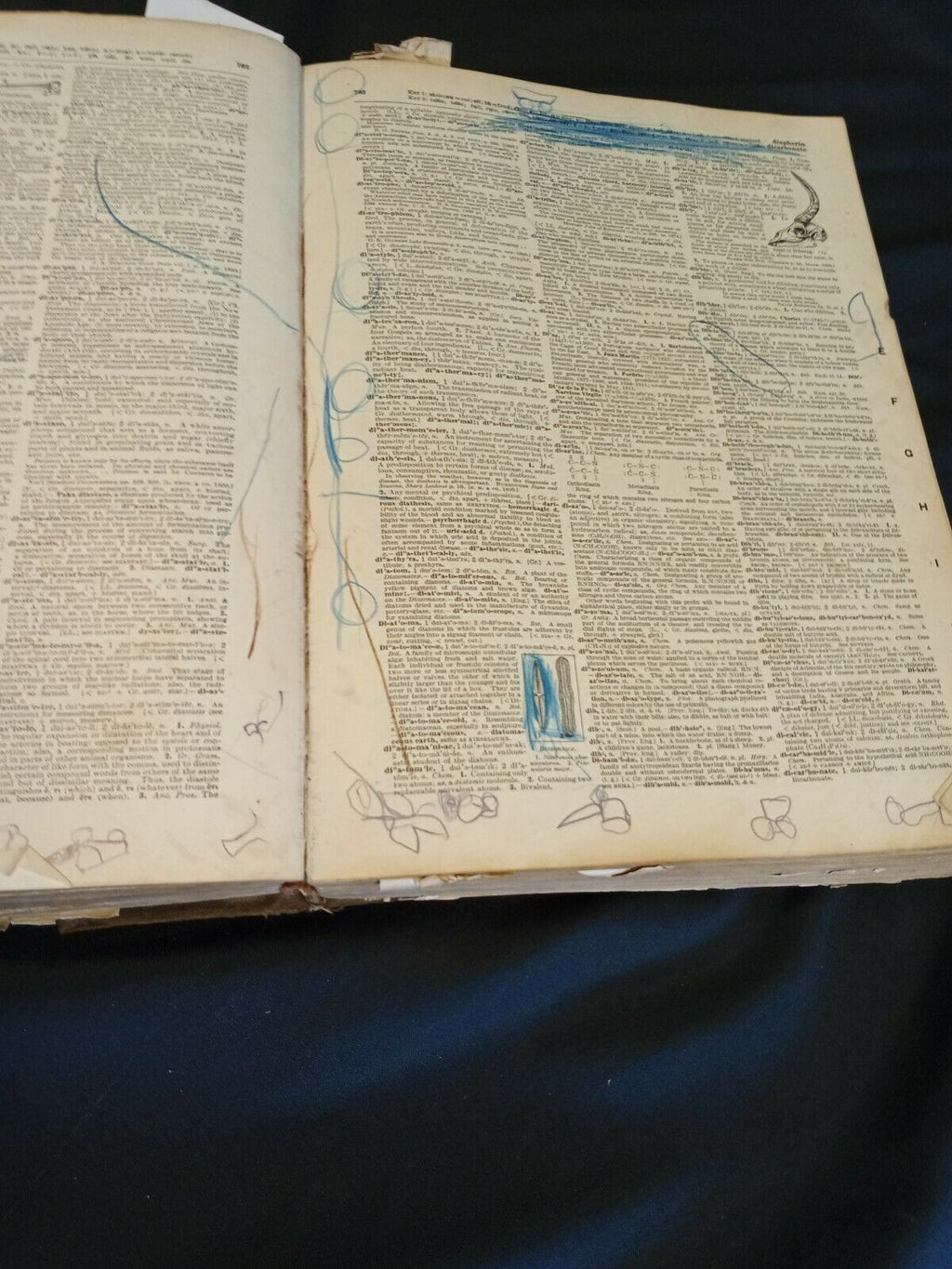 The New Standard English Dictionary M-Z Pre 1920 Waverley -(7842)