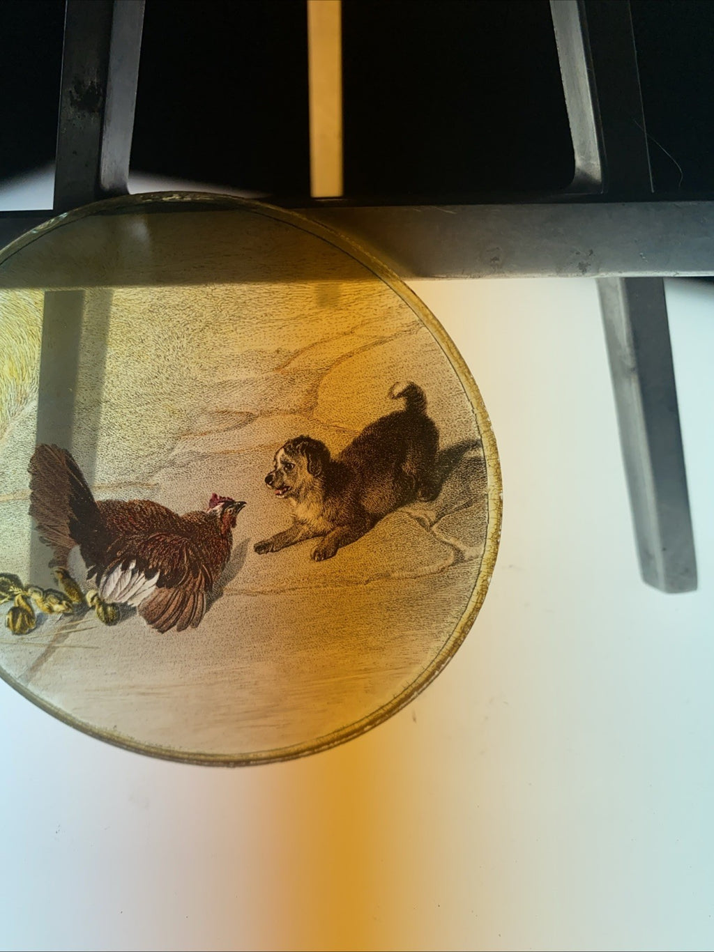 Magic Lantern Victorian Glass Round Handpainted Slide Dog & Mother Hen (1157)