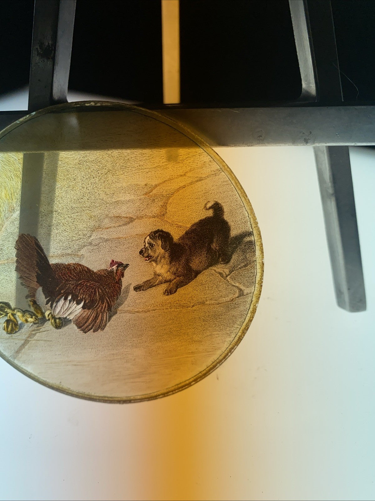 Magic Lantern Victorian Glass Round Handpainted Slide Dog & Mother Hen (1157)