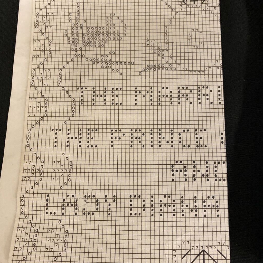 Vintage 1980's Marriage of Prince Charles to Diana Cross Stitch DONE - (9016)