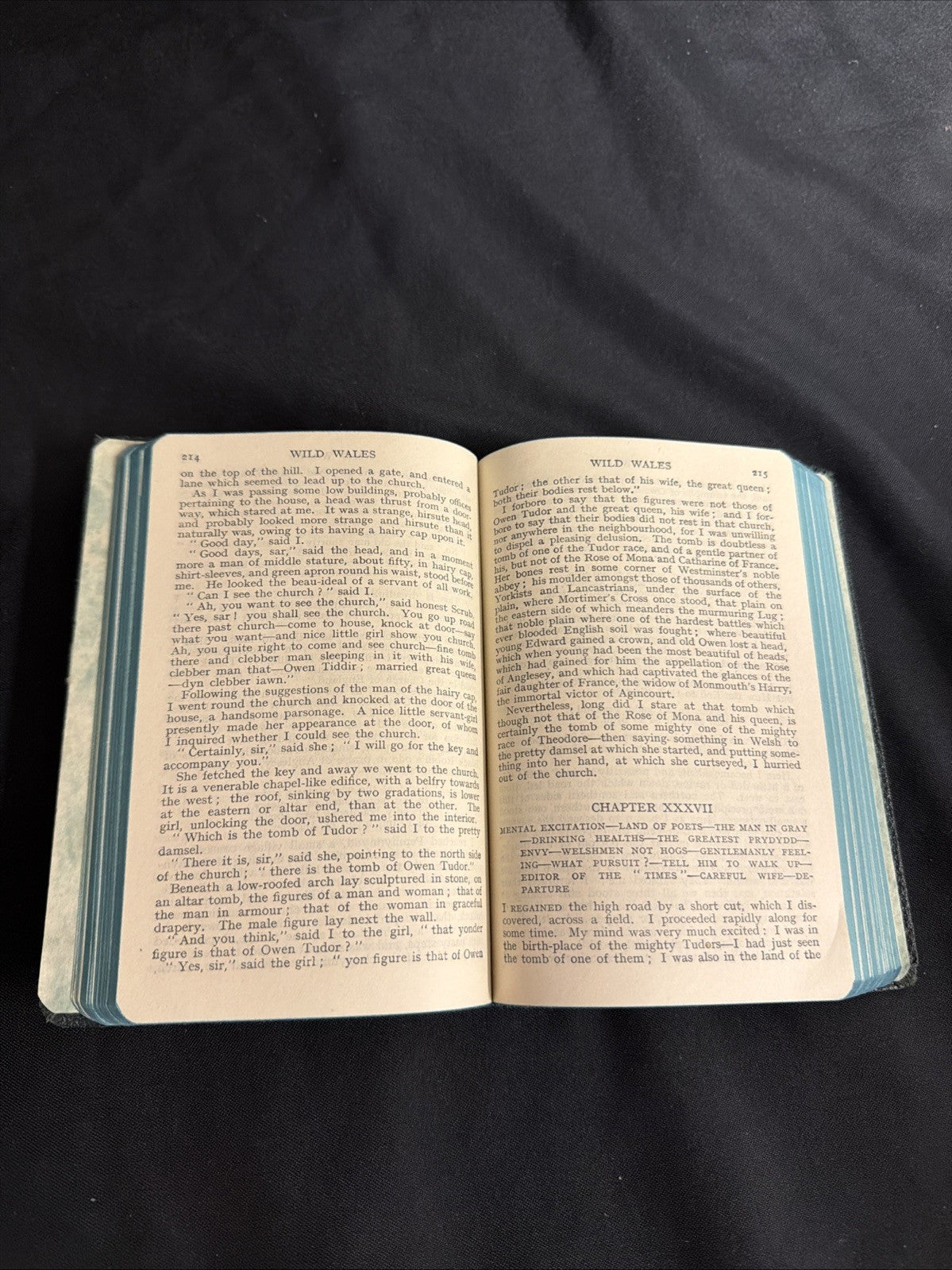 Book - Wild Wales by George Borrow - Cased leather bound - (1837)