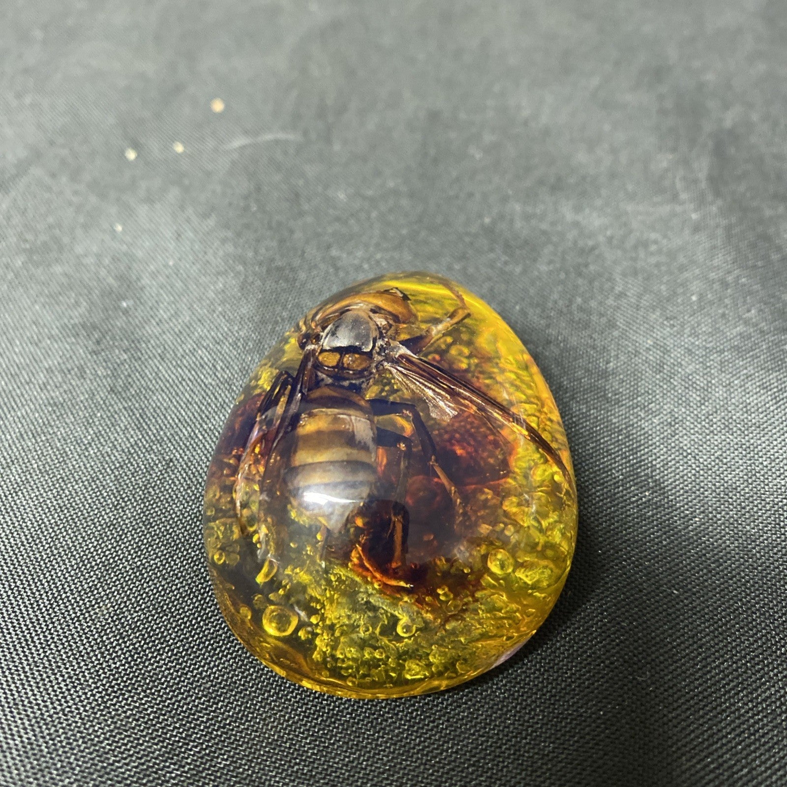 Beautiful Vintage Preserved Hornet In Amber Necklace Pendant - (1673)