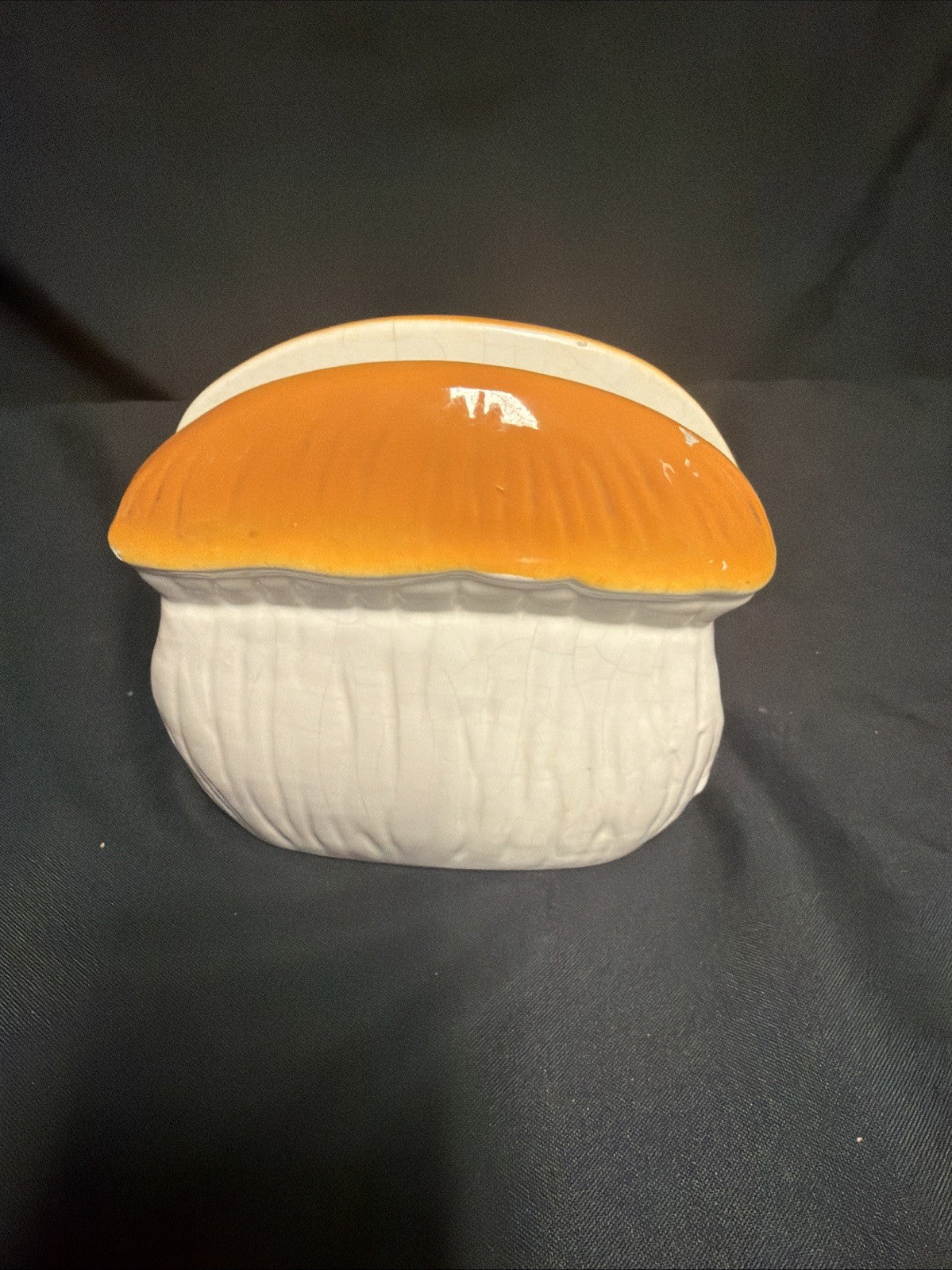 Merry Mushroom 1973 Sears Laurentian pottery Canada Napkin Holder - (1848)