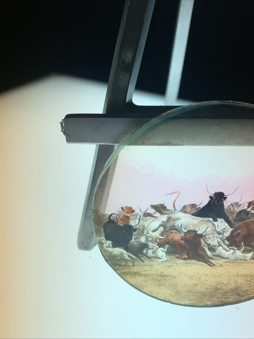 Magic Lantern Victorian Glass Round Handpainted Slide A stampede (1154)