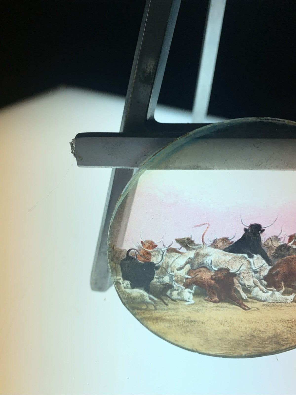 Magic Lantern Victorian Glass Round Handpainted Slide A stampede (1154)