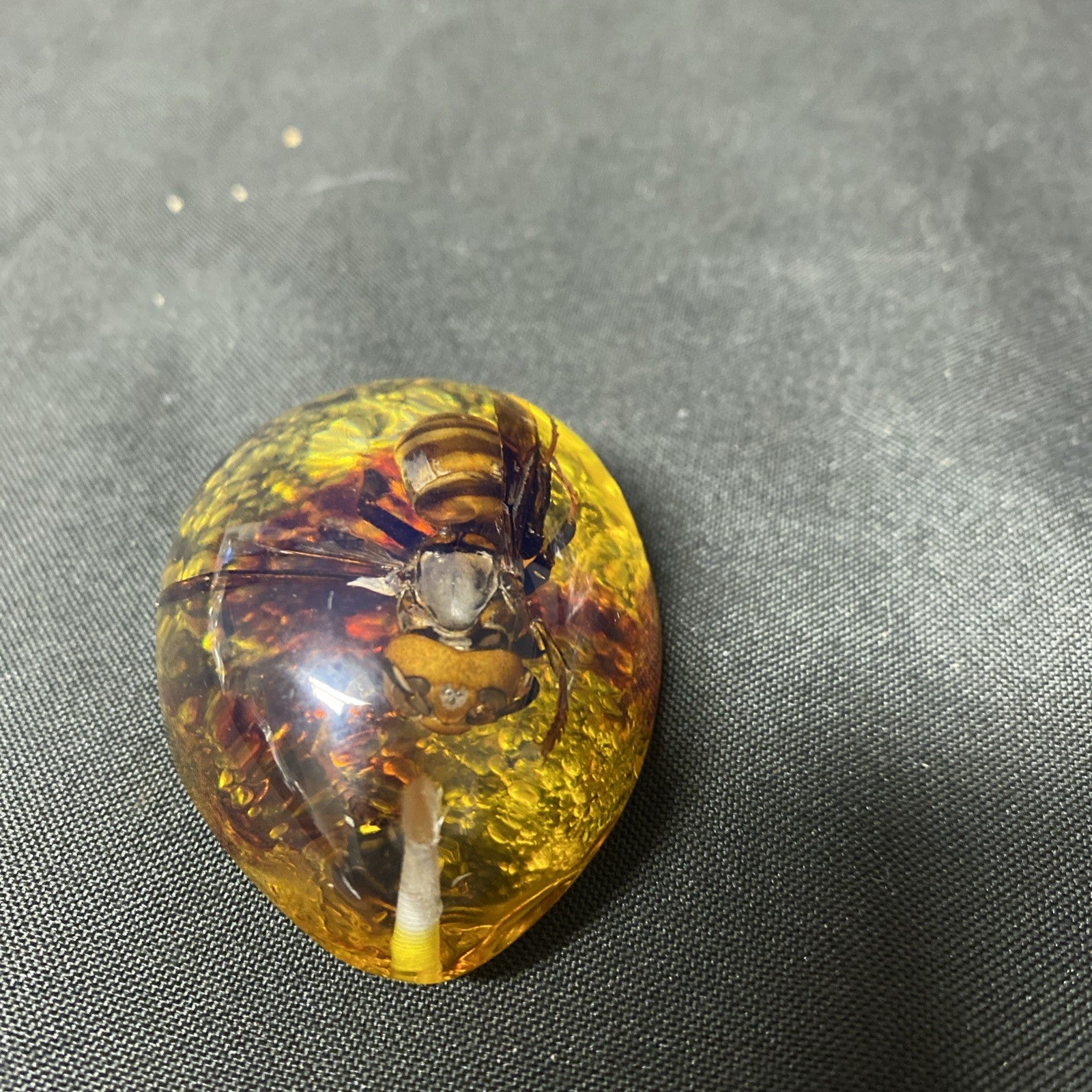 Beautiful Vintage Preserved Hornet In Amber Necklace Pendant - (1673)