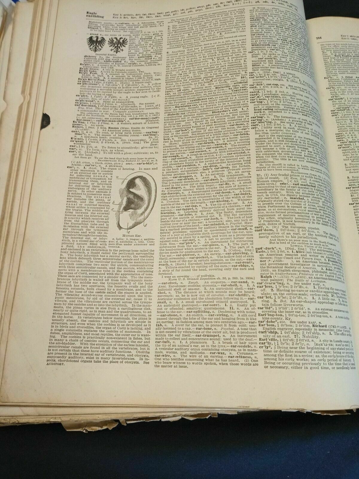 The New Standard English Dictionary M-Z Pre 1920 Waverley -(7842)