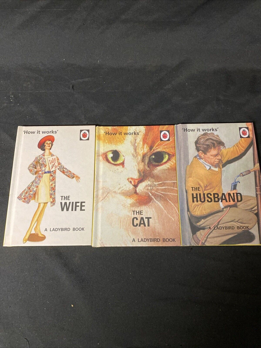 3 x The Ladybird Book - The Cat / Husband / Wife (Ladybird for Grown-Ups) (5648)