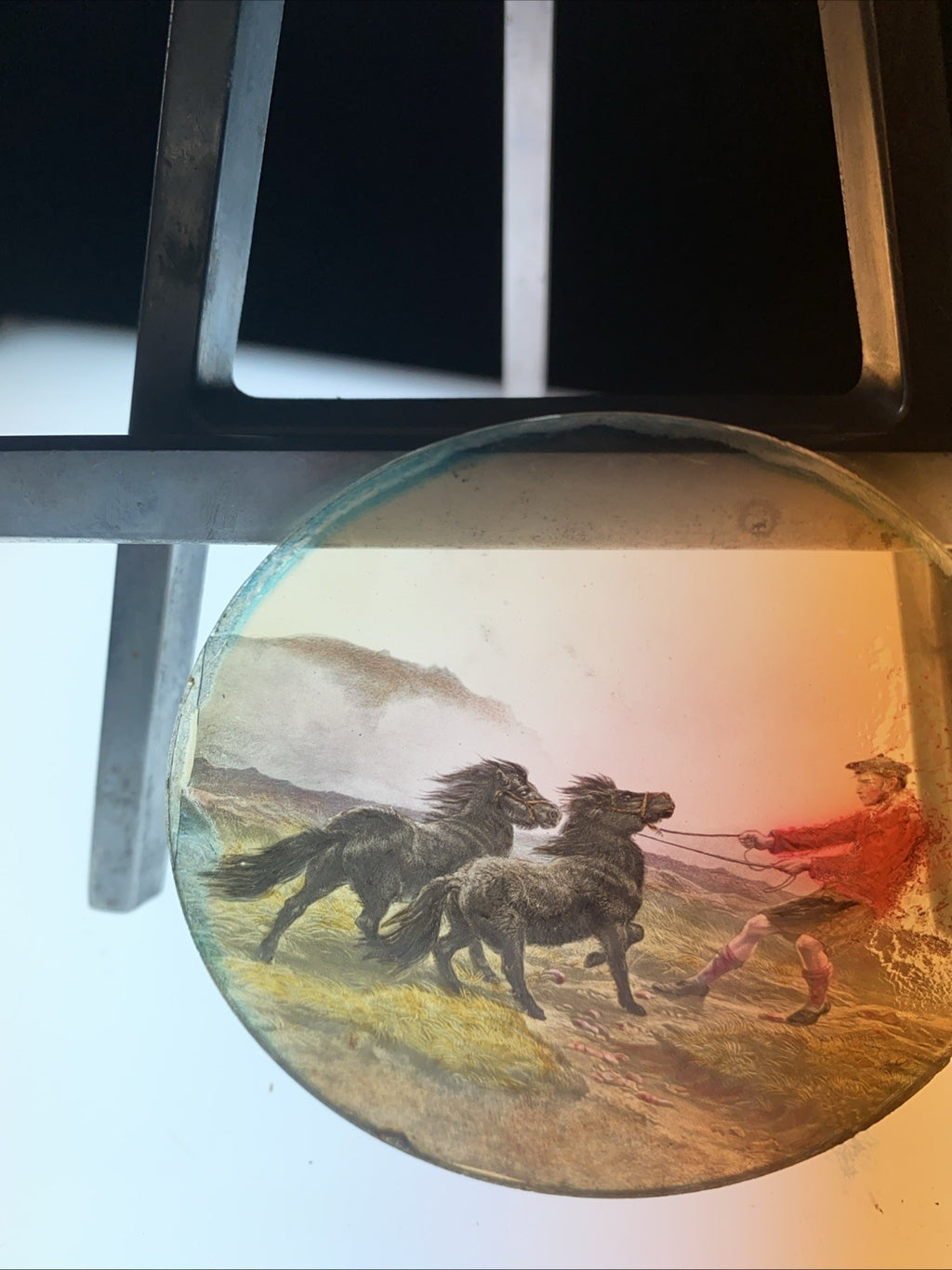 Magic Lantern Victorian Glass Round Handpainted Slide Taming Ponies (1168)