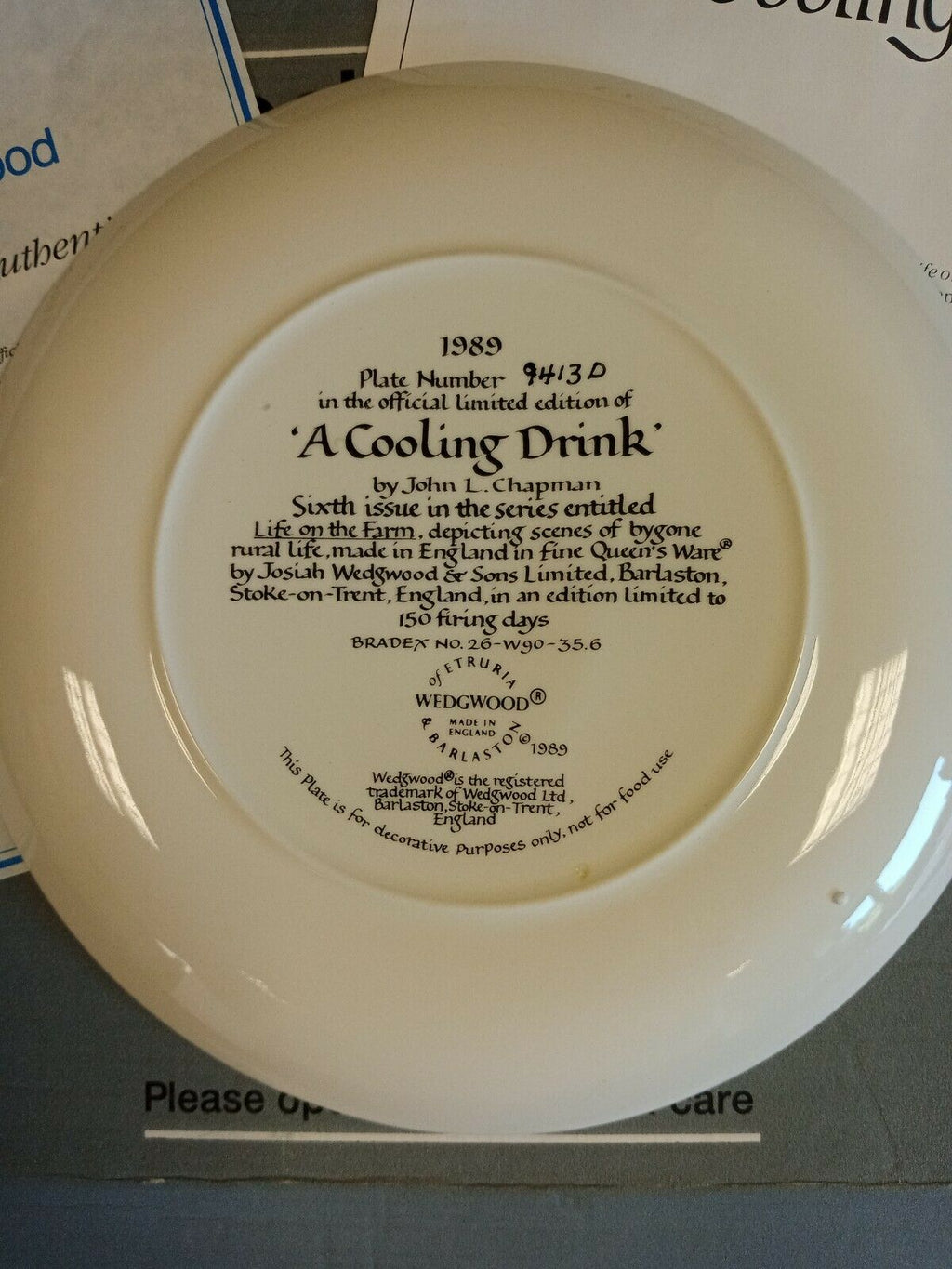 Wedgwood Queensware Collectors Boxed Plate Limited Ed. 1989 Cooling Drink (7877)