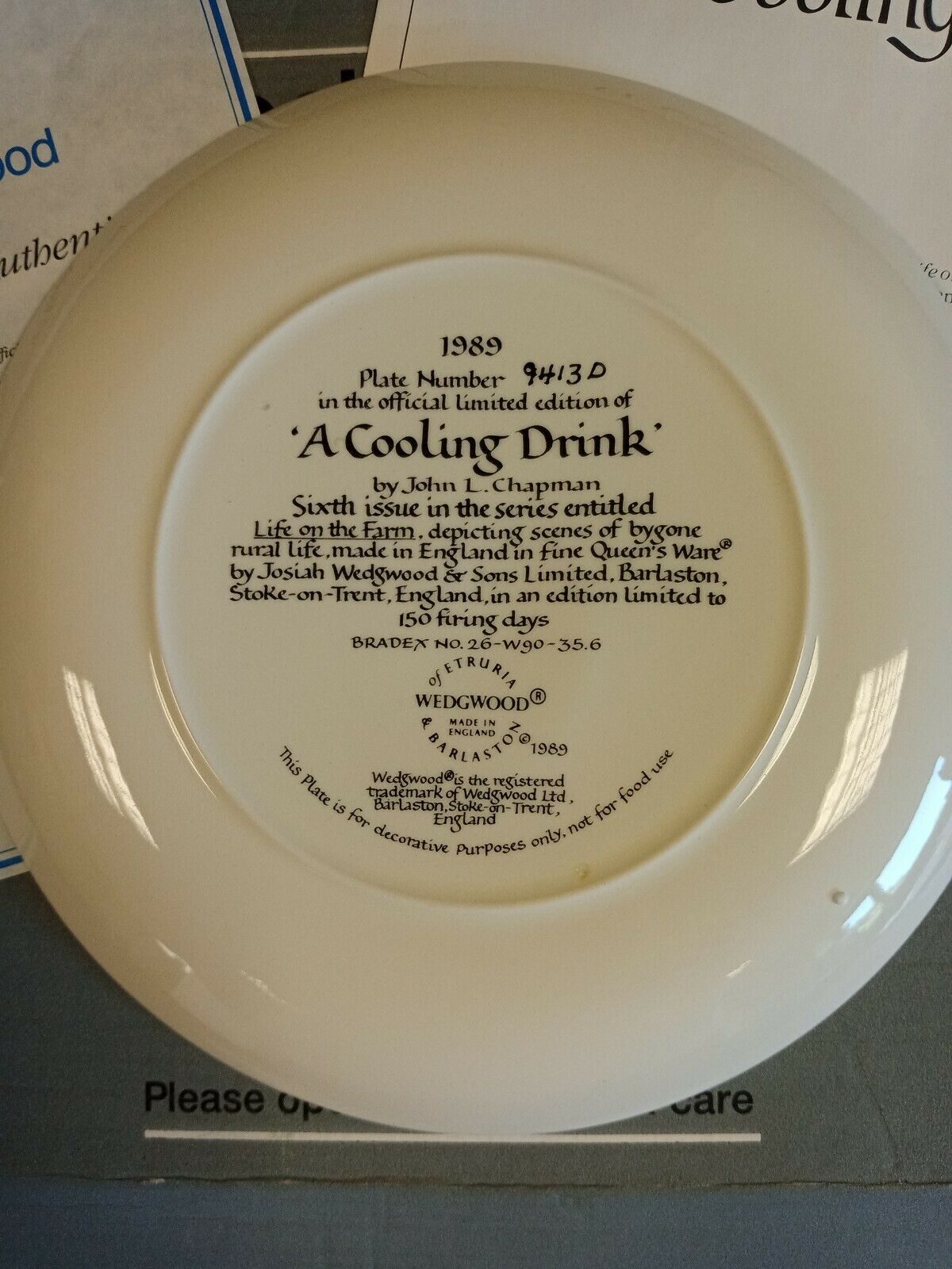 Wedgwood Queensware Collectors Boxed Plate Limited Ed. 1989 Cooling Drink (7877)