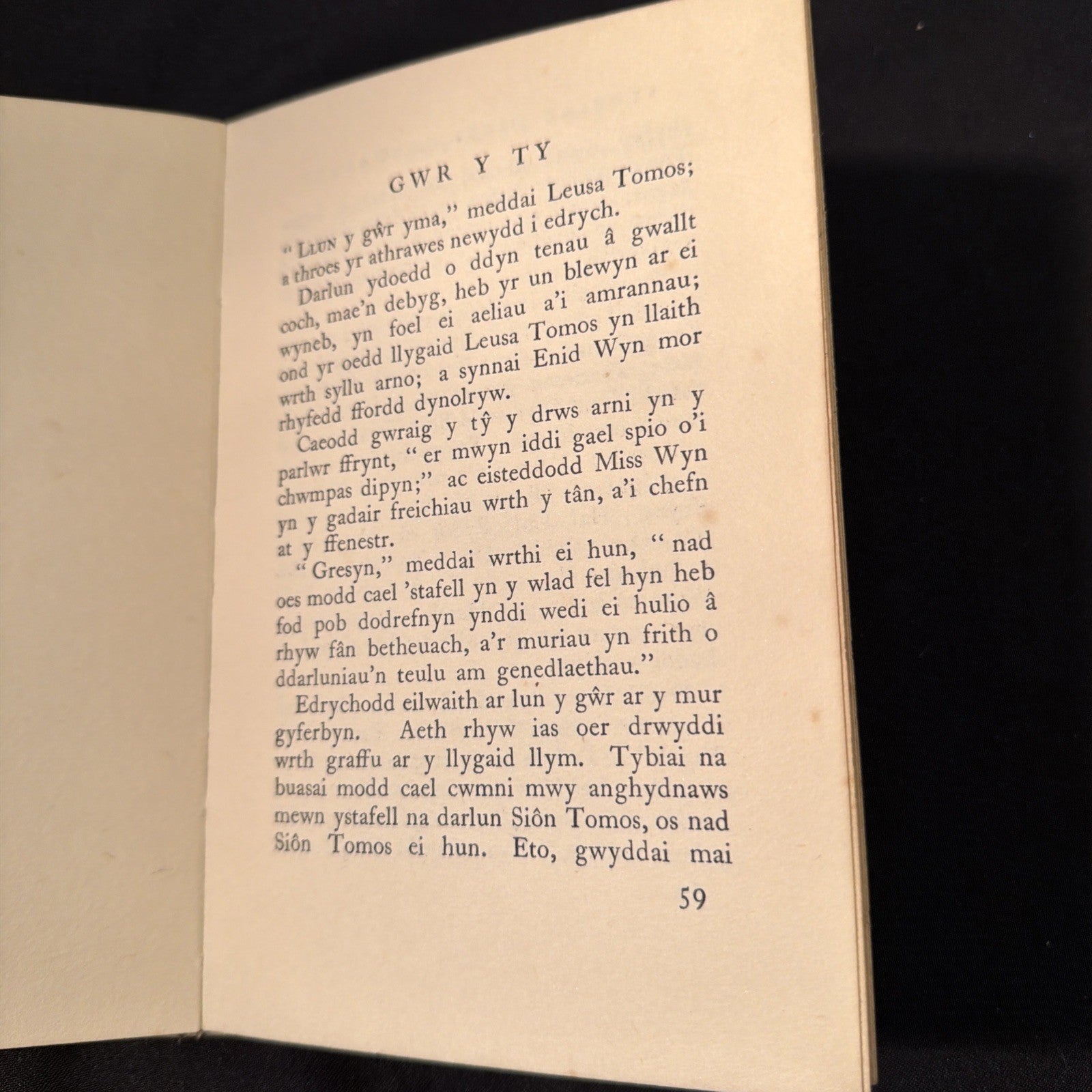 Storiau Dilys Cadwaladr - Welsh Language book - (1882)