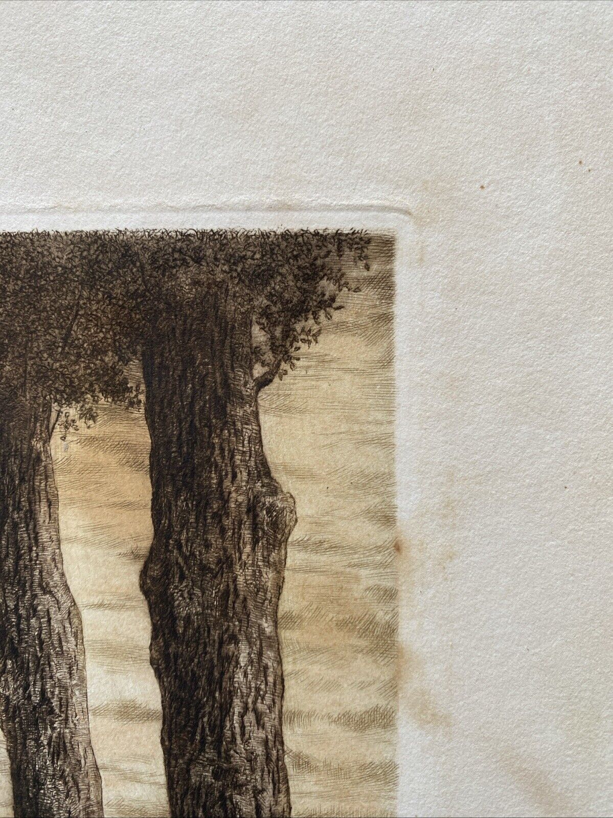 Prof. A Thalberg #4/10 Trees by a Stream Original Coloured etching - (5858)