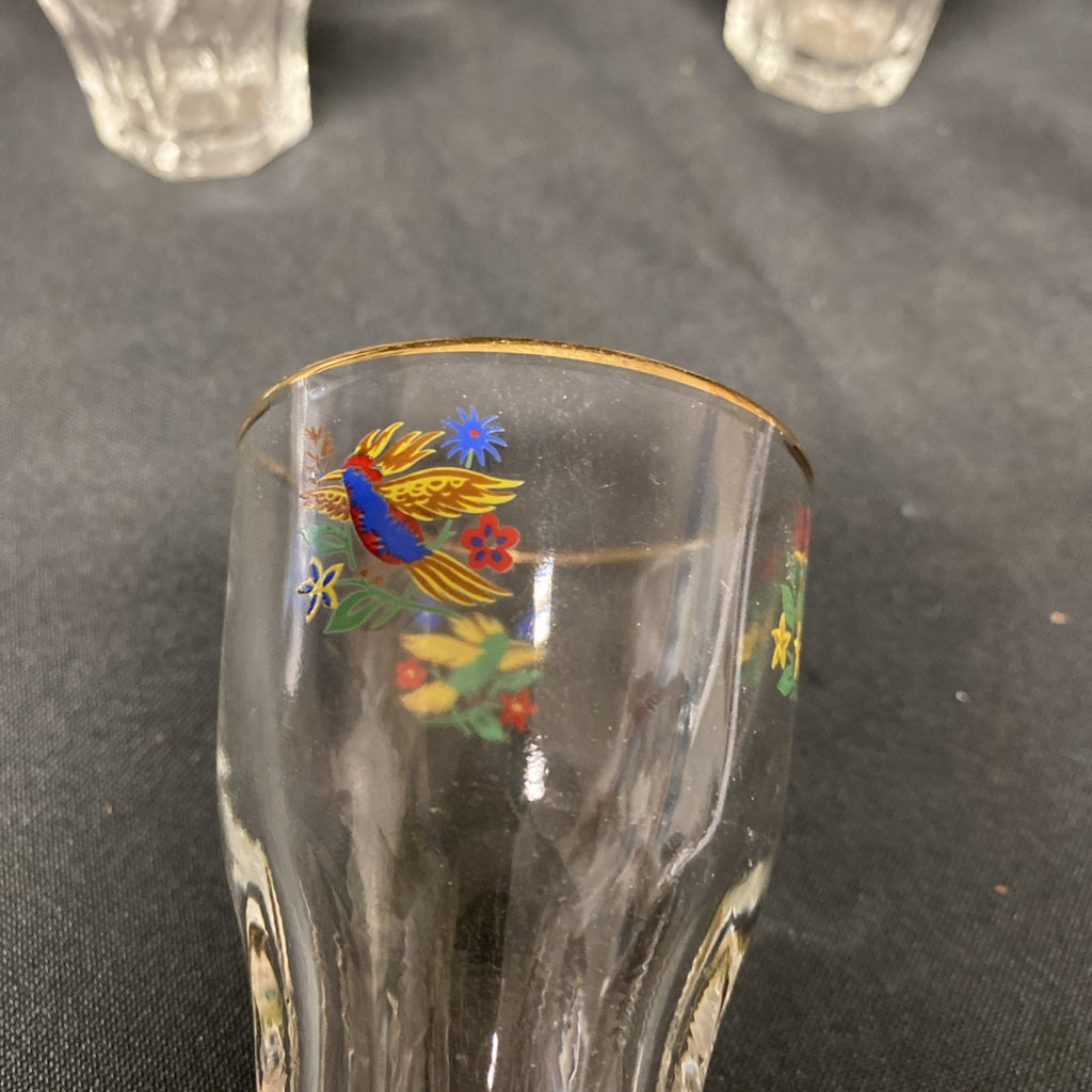 6 x Vintage 1950's Claymer Glasses Glass shot liqueur parrots design with REG mark (1482)