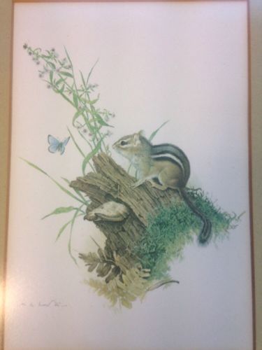 Glen Loates Canadian artist 1977 framed matted lithograph Chipmunk Y11008 (1633