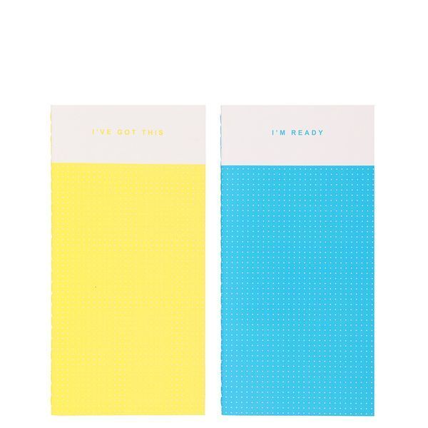Notebooks - Pair of slim notebooks with dotty insides - (5569)