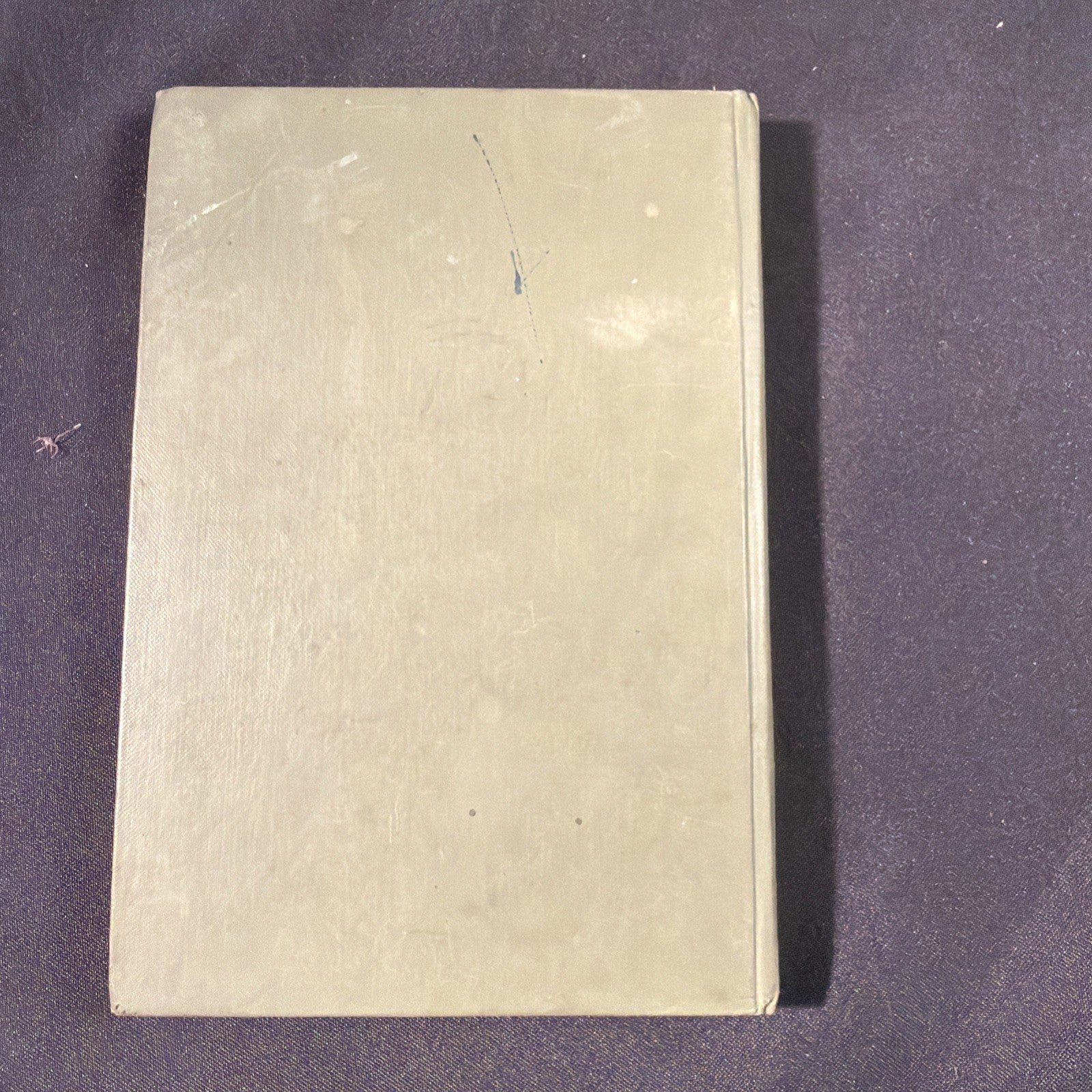 Teulu Bach Nantoer, L.M. Owen, Moelona - Welsh Language book - (1866)