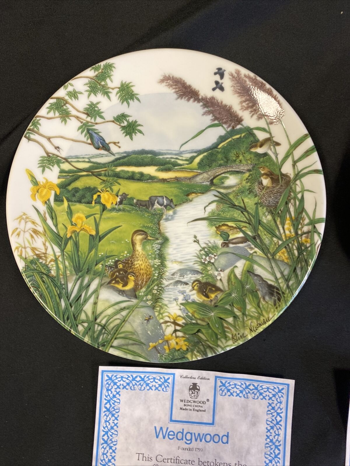 Wedgwood 1988 Collector plates x2 Meandering Stream + Village in Valley (7827